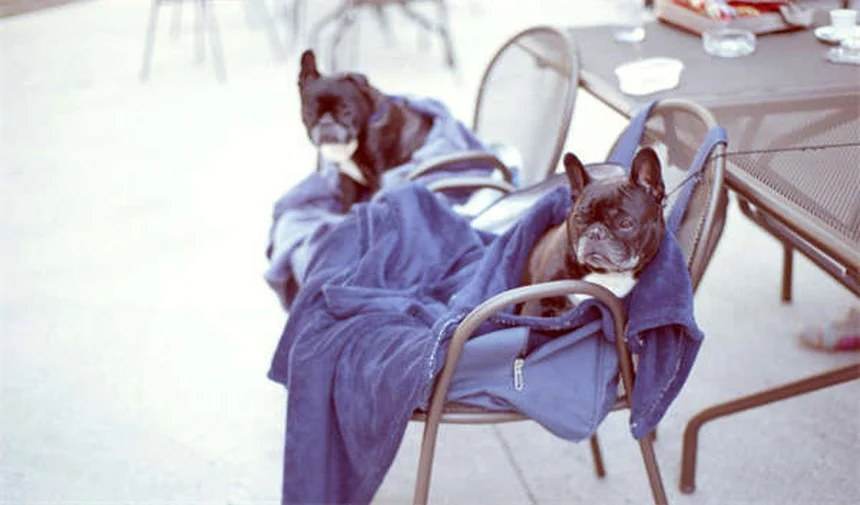 Teen Marijuana Use: 5 Shocking Risks Every Parent Should Know